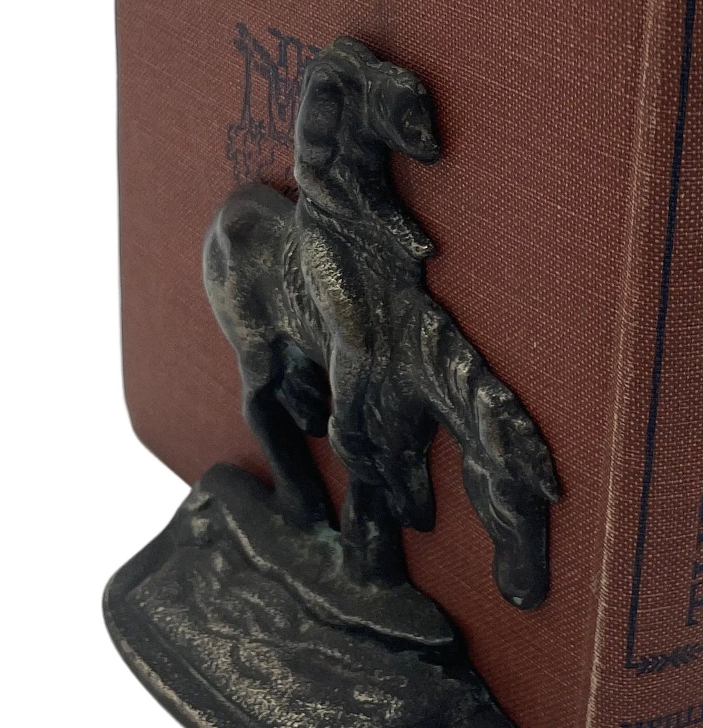 Vintage Name American Indian on Horse “Trail of Tears”Cast Iron Bookends