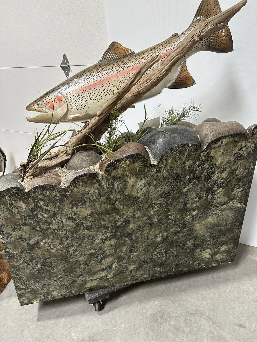 World Record Floor Mounted Rainbow Trout Display