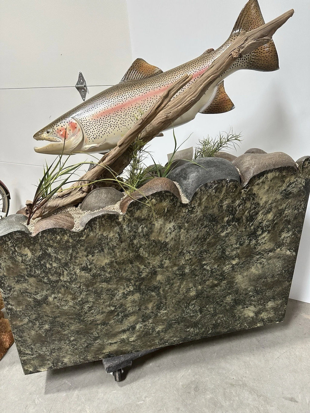 World Record Floor Mounted Rainbow Trout Display