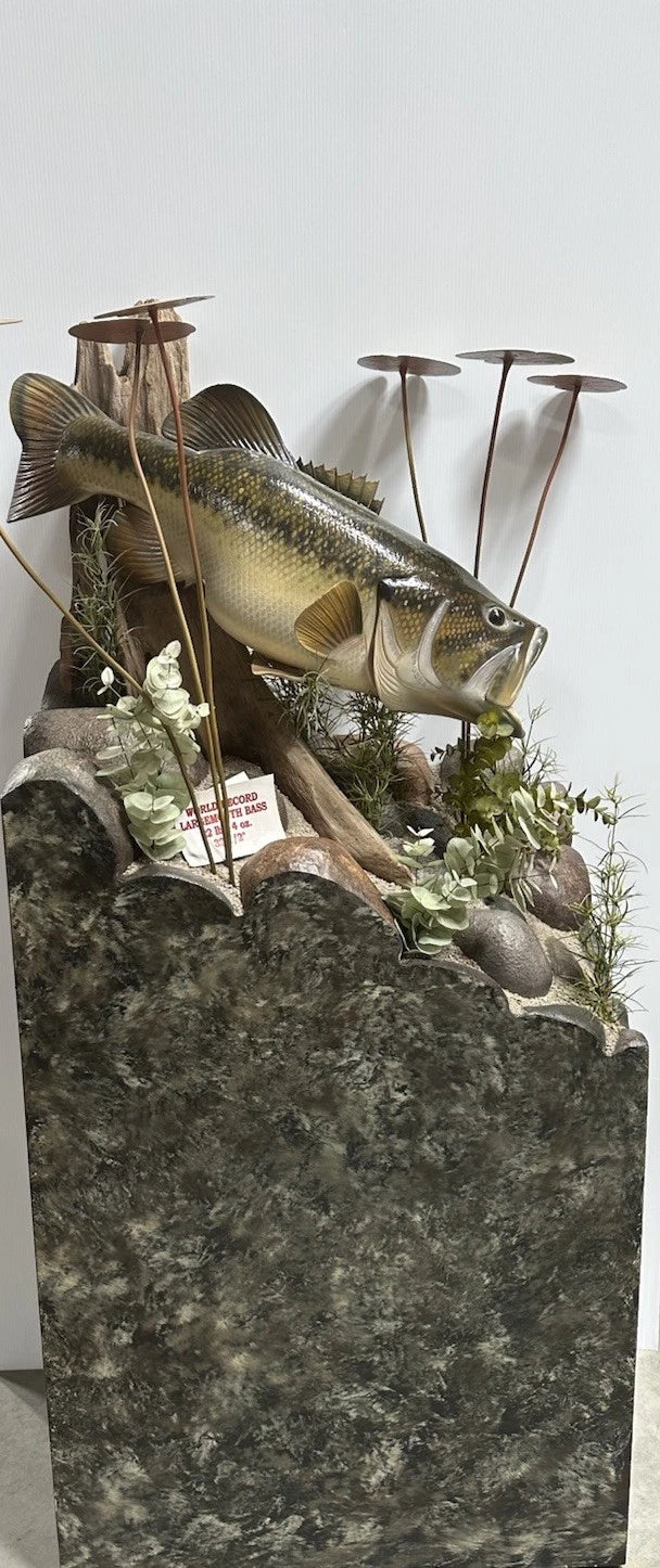 World Record Floor Mounted Largemouth Bass Display