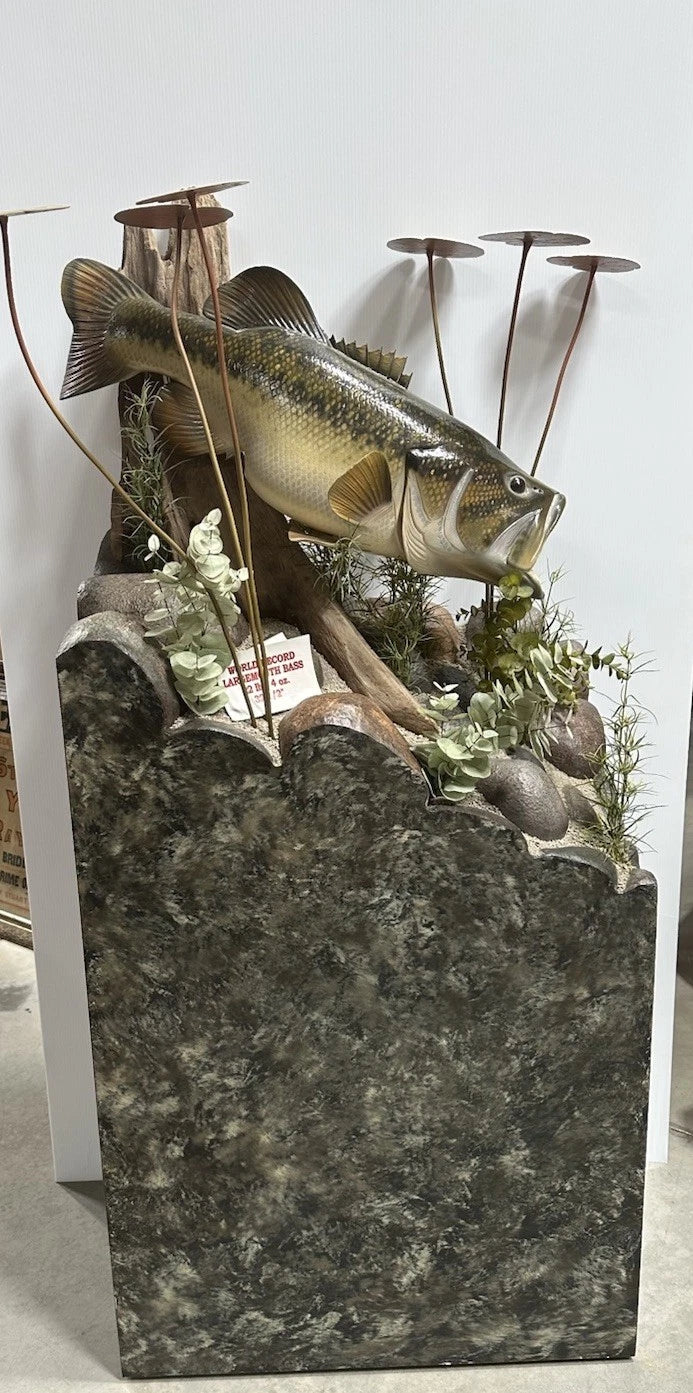 World Record Floor Mounted Largemouth Bass Display