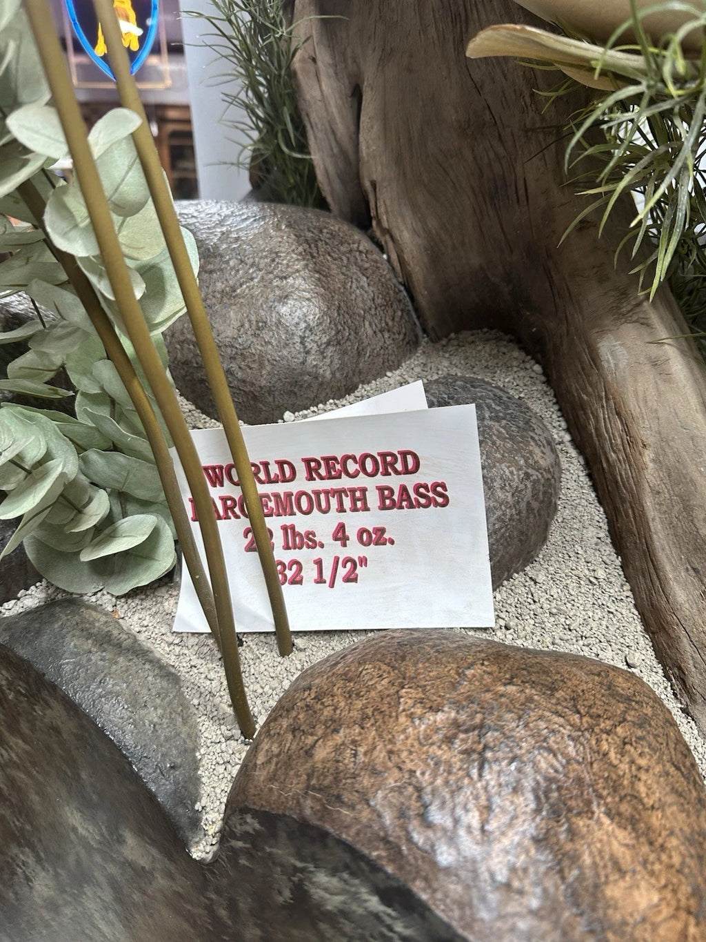 World Record Floor Mounted Largemouth Bass Display