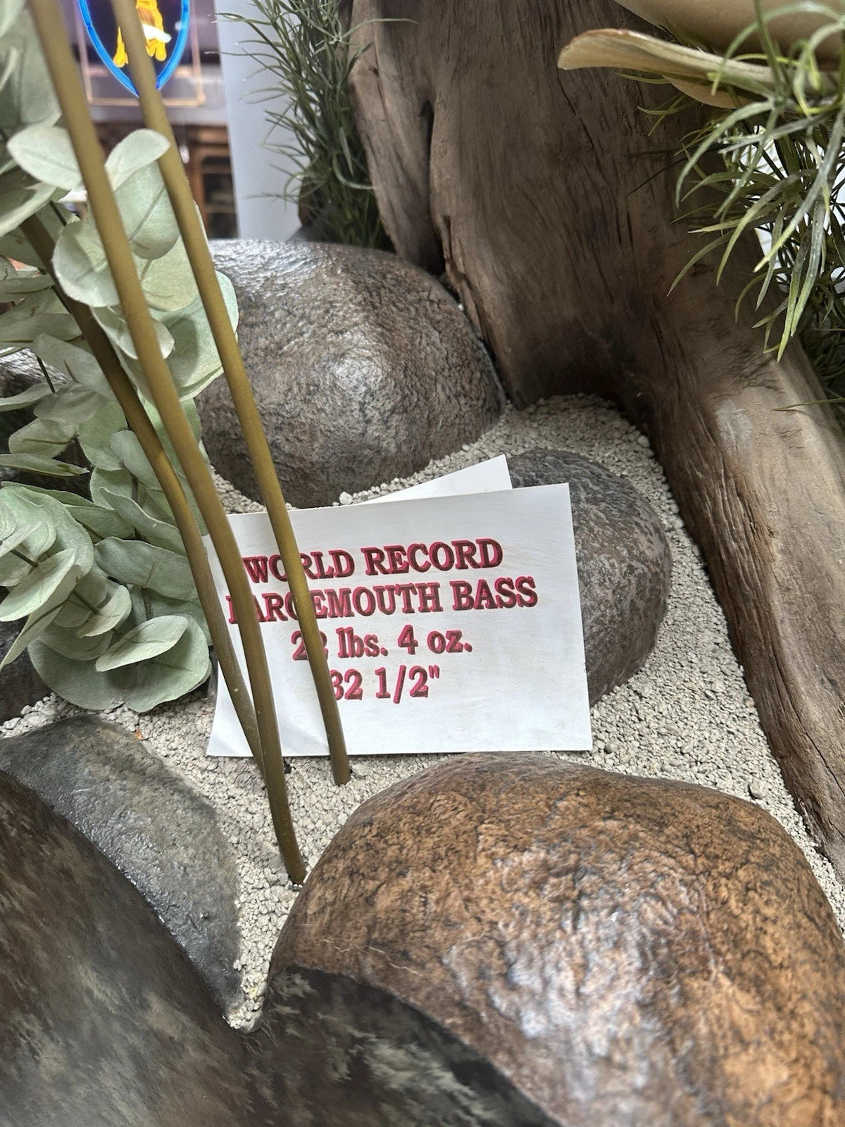 World Record Floor Mounted Largemouth Bass Display