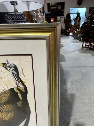 “Wild Turkey” Male By John James Audubon Large Frame With Double Matted