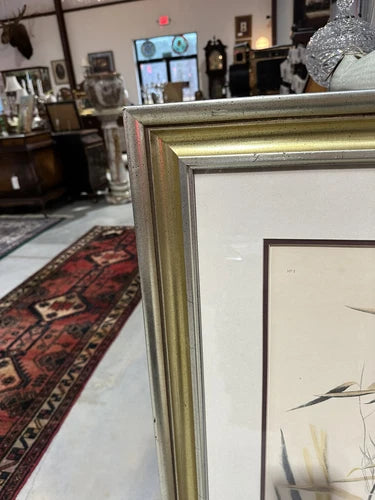 “Wild Turkey” Male By John James Audubon Large Frame With Double Matted